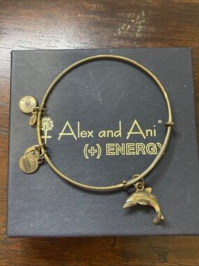 Dolphin Alex & Ani - Will Clean